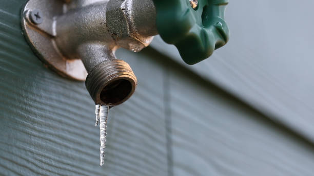 Best Local Plumber Services  in Anderson, SC